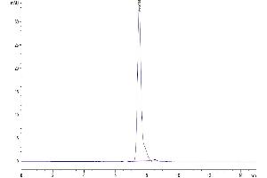 Size-exclusion chromatography-High Pressure Liquid Chromatography (SEC-HPLC) image for CD99 (CD99) (AA 23-122) protein (Fc Tag) (ABIN7274269)