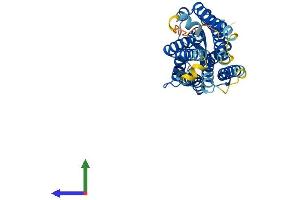 AlphaFold protein structure predicition of Human Recombinant TBXA2R Protein, UniprotID P21731