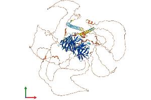 AlphaFold protein structure predicition of Mouse Recombinant Palb2 Protein, UniprotID Q3U0P1