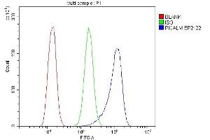 anti-Phosphatidylinositol Binding clathrin Assembly Protein (PICALM) (AA 1-652) antibody