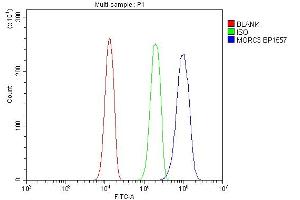 anti-MORC Family CW-Type Zinc Finger 3 (MORC3) (C-Term) antibody