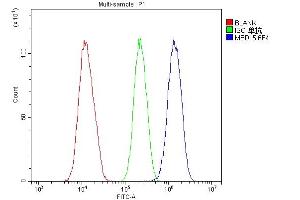 Flow Cytometry analysis of U20S cells using anti- MED15 antibody (ABIN6719342).