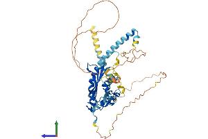 Protein Structure (PS) image for Nucleosome Assembly Protein 1-Like 2 (NAP1L2) (AA 1-460) protein (His tag) (ABIN7549915)