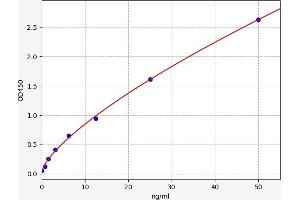 Typical standard curve (RGS19 ELISA 试剂盒)