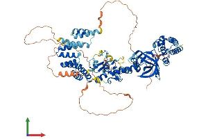 AlphaFold protein structure predicition of Mouse Recombinant Lonrf3 Protein, UniprotID Q9D4H7