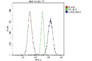Flow Cytometry analysis of A549 cells using anti-Eph receptor A2 antibody (ABIN5693218). (EPH Receptor A2 抗体  (AA 851-970))