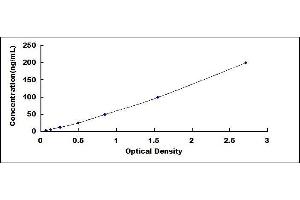 Typical standard curve