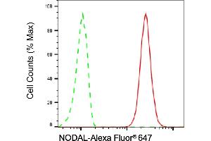 Flow cytometric analysis of NODAL expression in H9c2 cells using NODAL antibody (ABIN7799614), 1:2,000). (Recombinant Nodal 抗体)