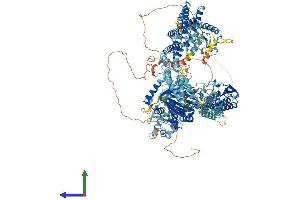 AlphaFold protein structure predicition of Human Recombinant KDM5D Protein, UniprotID Q9BY66 (KDM5D Protein (AA 1-1539) (His tag))