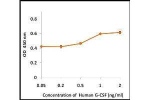 Activity Assay (AcA) image for Colony Stimulating Factor 3 (Granulocyte) (CSF3) (Active) protein (ABIN5509310) (G-CSF 蛋白)
