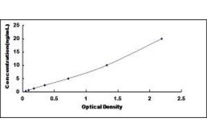 Typical standard curve (HSPA12B ELISA 试剂盒)