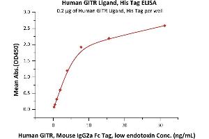 ELISA image for Tumor Necrosis Factor (Ligand) Superfamily, Member 18 (TNFSF18) (AA 50-177) (Active) protein (His tag) (ABIN6938904)