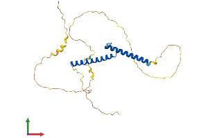 Protein Structure (PS) image for Oligodendrocyte Transcription Factor 3 (OLIG3) (AA 1-273) protein (His tag) (ABIN7558064)