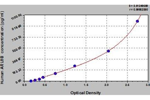 ARL8B ELISA 试剂盒