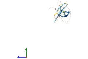 AlphaFold protein structure predicition of Human Recombinant RNF40 Protein, UniprotID O75150