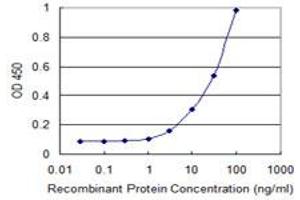 Detection limit for recombinant GST tagged POMT2 is 1 ng/ml as a capture antibody. (POMT2 抗体  (AA 483-580))