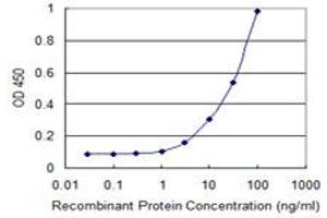 Detection limit for recombinant GST tagged POMT2 is 1 ng/ml as a capture antibody.