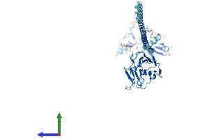 Protein Structure (PS) image for Tripartite Motif Containing 50 (TRIM50) (AA 1-483) protein (His tag) (ABIN7558470)