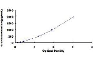 Typical standard curve (BMP1 ELISA 试剂盒)