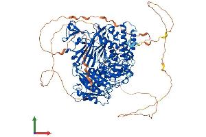 Protein Structure (PS) image for SEC24 Family, Member C (SEC24C) (AA 1-1094) protein (His tag) (ABIN7555413)