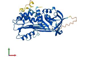 AlphaFold protein structure predicition of Human Recombinant SERPINB11 Protein, UniprotID Q96P15
