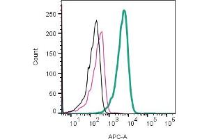 Cell surface detection of NK1R by direct flow cytometry in live intact human Jurkat T-cell leukemia cell line: + Rabbit IgG Isotype Control-APC (ABIN7582043).