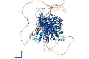Protein Structure (PS) image for Son of Sevenless Homolog 1 (SOS1) (AA 1-1319) protein (His tag) (ABIN7563959)