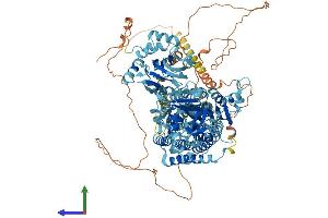 Protein Structure (PS) image for ATPase, Ca++ Transporting, Plasma Membrane 2 (ATP2B2) (AA 1-1243) protein (His tag) (ABIN7552398)