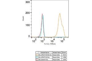Flow cytometry: Jurkat cells were stained with Rabbit IgG isotype control (, 2. (CD3G 抗体)
