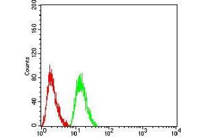 Flow Cytometry (FACS) image for anti-V-Akt Murine Thymoma Viral Oncogene Homolog 1 (AKT1) (AA 1-150) antibody (ABIN5542263)