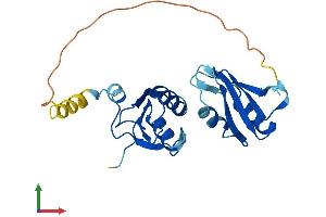 Protein Structure (PS) image for Small Nuclear Ribonucleoprotein Polypeptide B (SNRPB2) (AA 1-225) protein (His tag) (ABIN7551672)