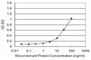 Detection limit for recombinant GST tagged ATF3 is approximately 3ng/ml as a capture antibody. (ATF3 抗体  (AA 1-181))