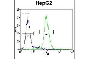 Flow cytometric analysis of HepG2 cells (right histogram) compared to a negative control cell (left histogram). (PSMD7 抗体  (C-Term))