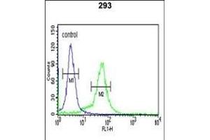 BTBD1 Antibody (Center) (ABIN391491 and ABIN2841458) flow cytometric analysis of 293 cells (right histogram) compared to a negative control cell (left histogram). (BTBD1 抗体  (AA 295-322))