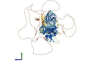 AlphaFold protein structure predicition of Mouse Recombinant Synj2 Protein, UniprotID Q9D2G5