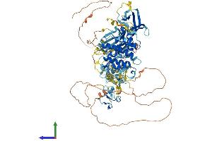 Protein Structure (PS) image for Protein Kinase D3 (PRKD3) (AA 1-889) protein (His tag) (ABIN7564626)