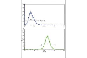 Flow Cytometry (FACS) image for anti-Sterol Carrier Protein 2 (SCP2) antibody (ABIN3003846) (SCP2 抗体)