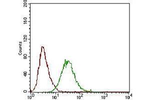 Flow cytometric analysis of Hela cells using PLA2G12A mouse mAb (green) and negative control (red). (PLA2G12A 抗体  (AA 21-189))