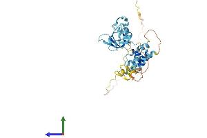 AlphaFold protein structure predicition of Human Recombinant CD2BP2 Protein, UniprotID O95400
