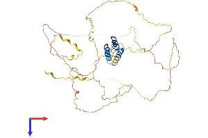 IRX2 Protein (AA 1-474) (His tag)