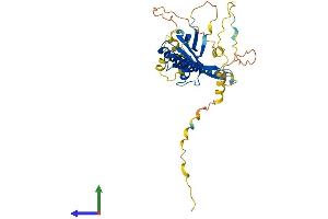 AlphaFold protein structure predicition of Human Recombinant FAM43B Protein, UniprotID Q6ZT52 (FAM43B Protein (AA 1-329) (His tag))
