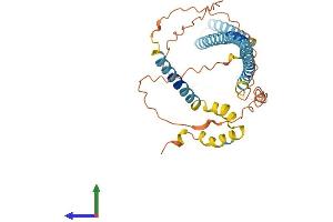 AlphaFold protein structure predicition of Mouse Recombinant Smco2 Protein, UniprotID Q9DA21 (SMCO2 Protein (AA 1-347) (His tag))