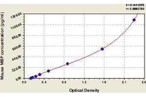 Myelin Basic Protein (MBP) ELISA Kit