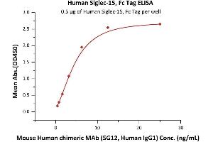 Immobilized Human Siglec-15, Fc Tag (ABIN6923190,ABIN6938901) at 5 μg/mL (100 μL/well) can bind Mouse Human chimeric MAb (5G12, Human IgG1) with a linear range of 0. (SIGLEC15 Protein (AA 20-263) (Fc Tag))