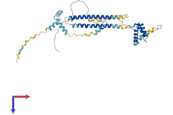 PBX4 Protein (AA 1-378) (His tag)