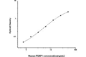 Typical standard curve (PDAP1 ELISA 试剂盒)