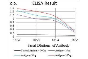 ELISA image for anti-ATP-Binding Cassette, Sub-Family C (CFTR/MRP), Member 4 (ABCC4) (AA 631-692) antibody (ABIN1724860)