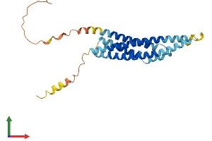 AlphaFold protein structure predicition of Human Recombinant MS4A7 Protein, UniprotID Q9GZW8