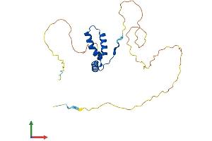 Protein Structure (PS) image for SRY (Sex Determining Region Y)-Box 15 (SOX15) (AA 1-231) protein (His tag) (ABIN7563259)