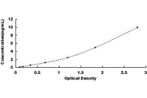 Typical standard curve (UPP1 ELISA 试剂盒)